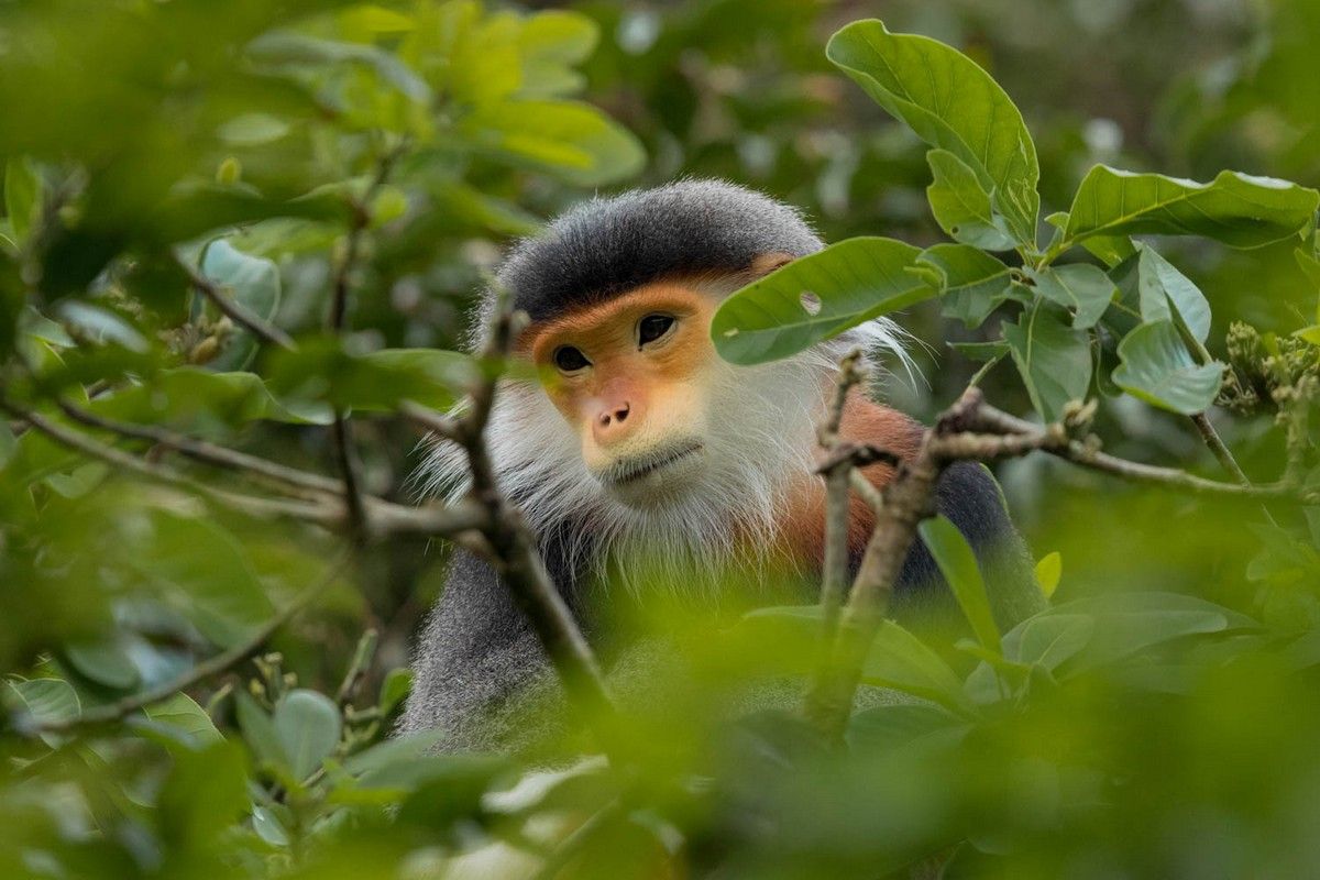Світ дикої природи у яскравих фото - фото 1