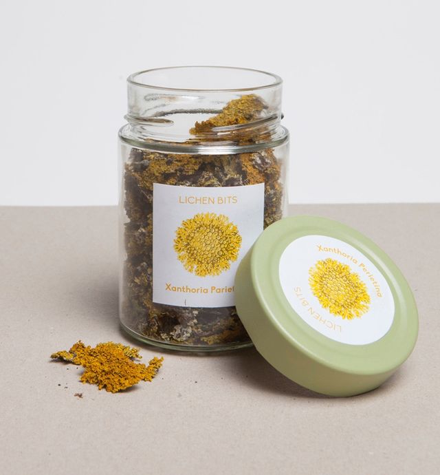 Як би виглядало меню для тих, хто пережив апокаліпсис - фото 284002