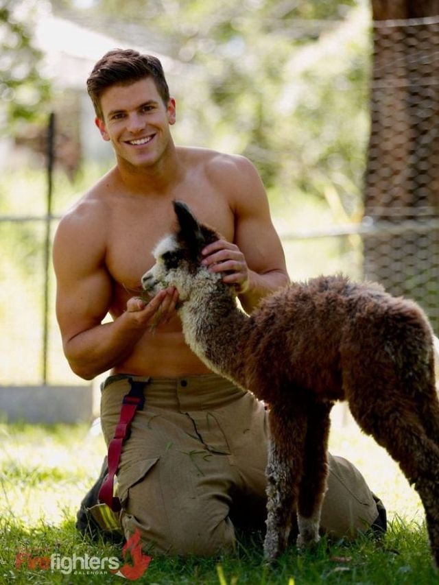 Австралійські пожежні зі звірятами знялися для календаря на 2019 рік - фото 281864