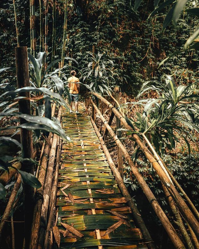 Казкові пейзажі від Ллойда Еванса - фото 281400