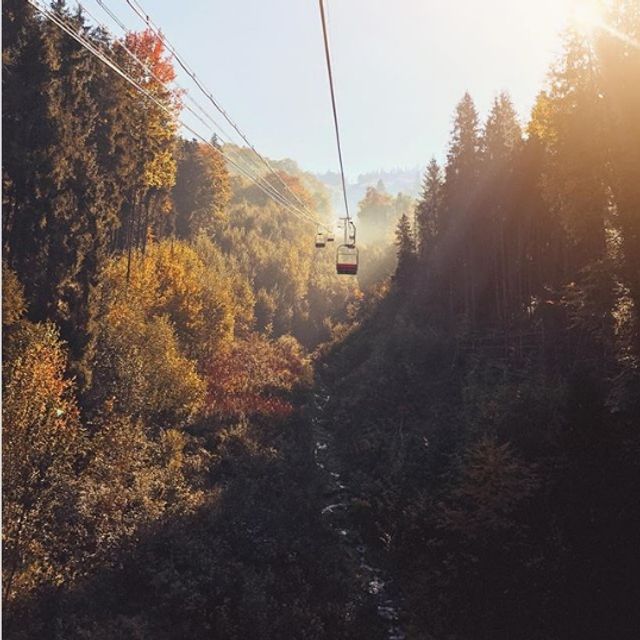 Осінні Карпати показали в яскравих пейзажах- фото 281983