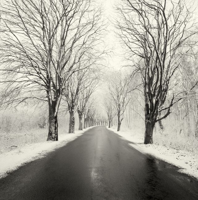 Проект 'Тихі моменти', який змушує затримати погляд - фото 285174