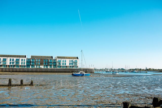 Яким є світ без окулярів та з ними - фото 285134