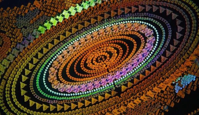 Найкращі мікрофото - фото 283612