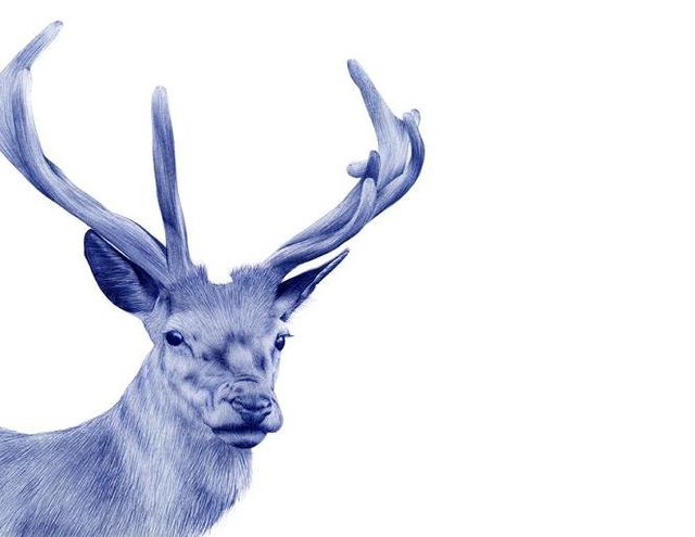 Неймовірно реалістичні малюнки ручкою - фото 281693