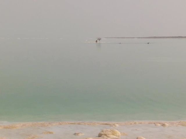 Мертве море - фото 283817