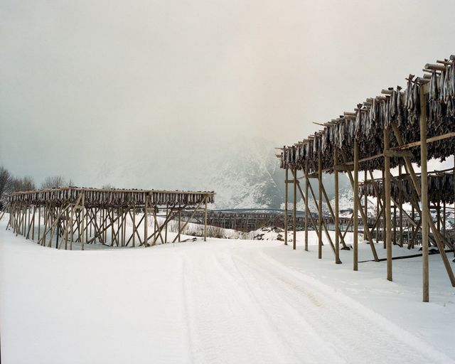 Як живуть рибалки у норвезькому селищі - фото 285099