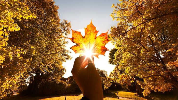 Погода в Україні на День захисника