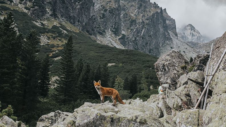 Атмосфера Словаччина - фото 1