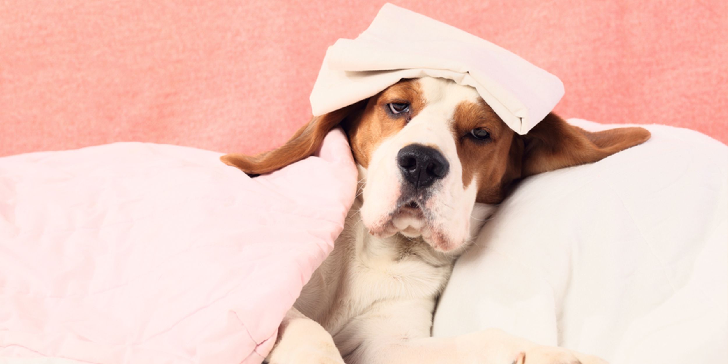 Науковці розповіли, чому після сну може боліти голова