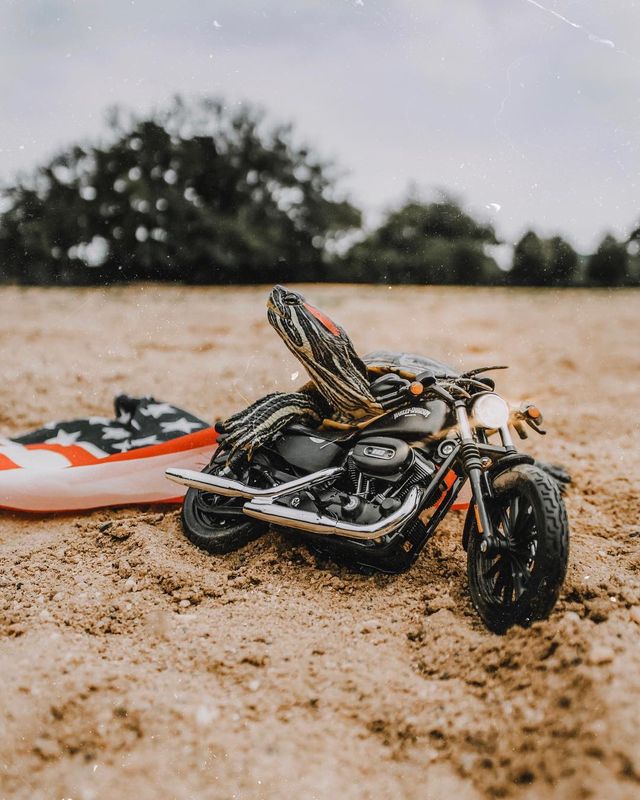 Чарівні черепахи змушують користувачів усміхатись - фото 282219