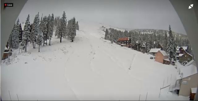 Карпати засипало снігом - фото 284384