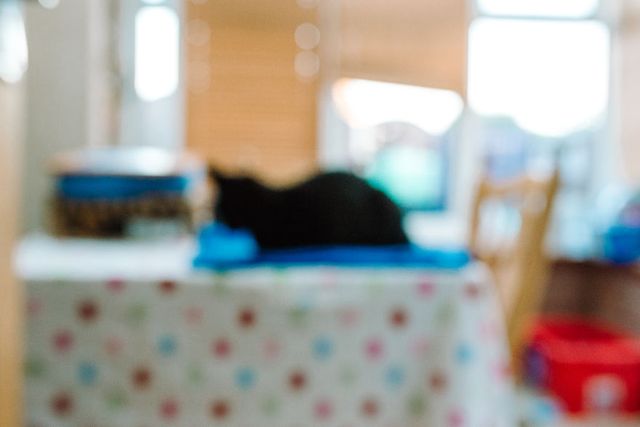 Яким є світ без окулярів та з ними - фото 285141