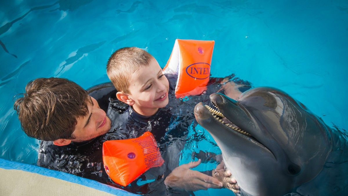 Уляна Супрун розповіла правду про дельфінотерапію