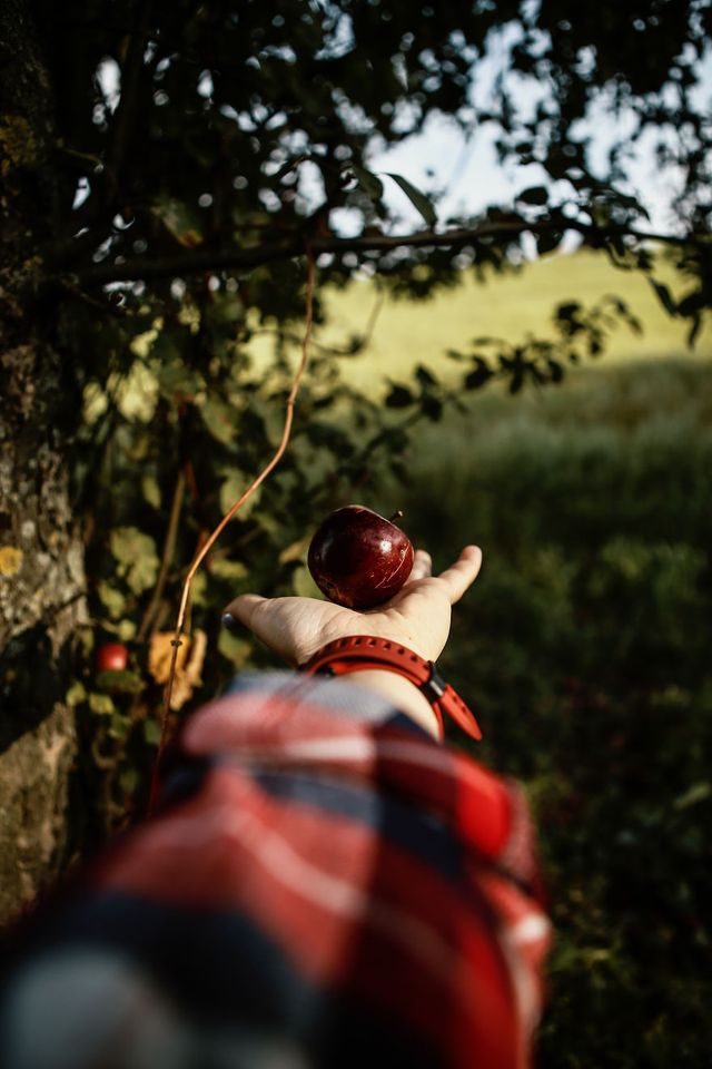 Осінь у деталях - фото 284458