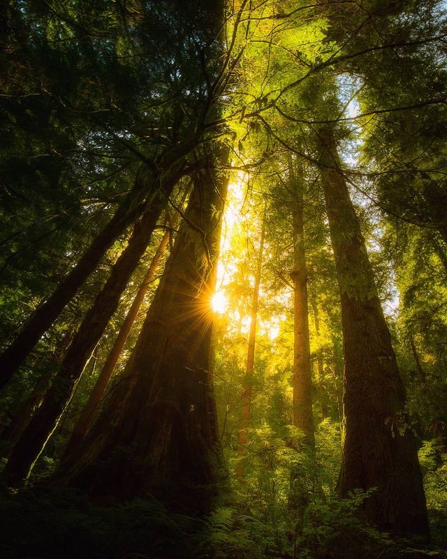 Захопливі пригоди світом в об'єктиві Таля Варді - фото 279762