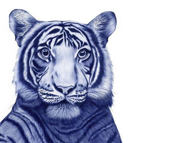 Неймовірно реалістичні малюнки ручкою - фото 281696