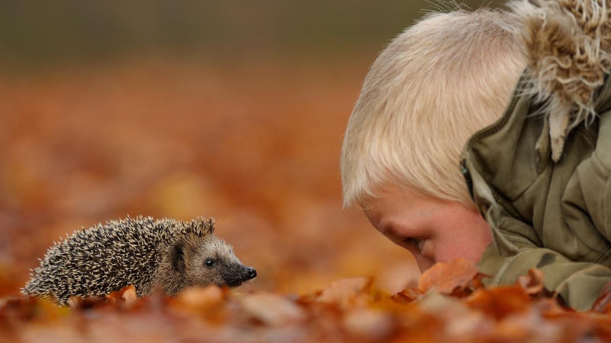Чому треба бути більш дружелюбним