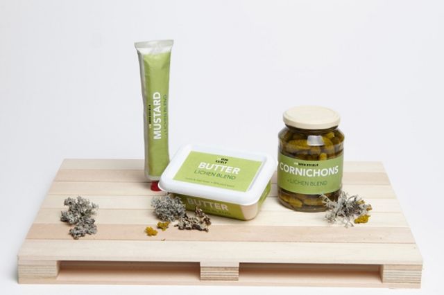 Як би виглядало меню для тих, хто пережив апокаліпсис - фото 283996