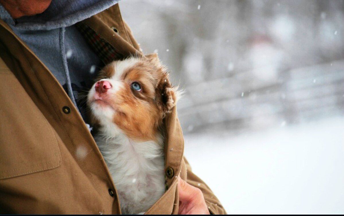 Надмірна доброта пов'язана з низьким рівнем доходів - фото 1
