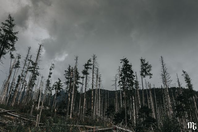 Татри у Словаччині: ефектні фото мандрівки - фото 282940