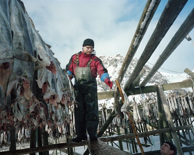 Як живуть рибалки у норвезькому селищі - фото 285091