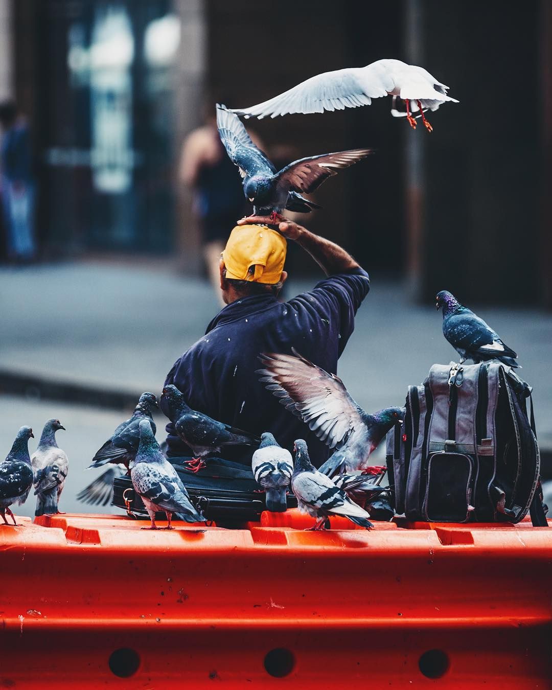 Вуличні фото з різних міст світу, від яких перехоплює дух