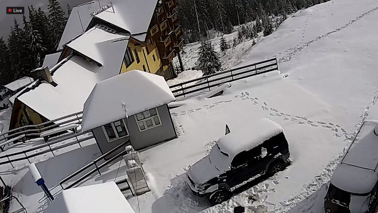 Зима близько: Карпати засипало снігом