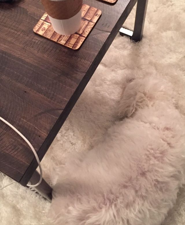 Ідеальне маскування - фото 281662