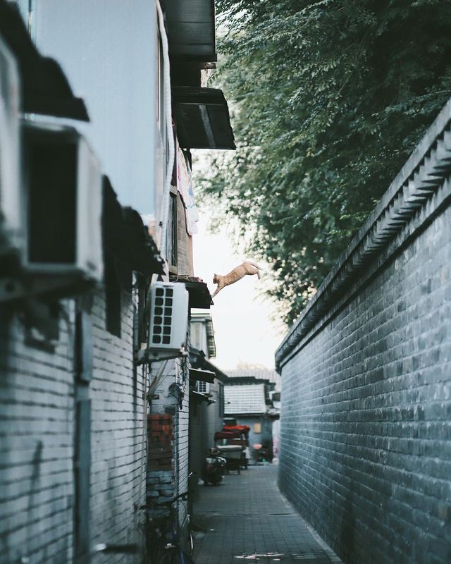 Життя в Китаї у вуличних фото - фото 284140