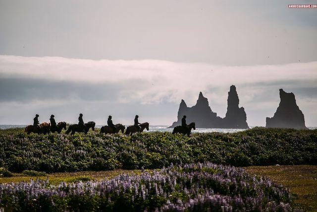 Неймовірні пейзажі Ісландії - фото 282193