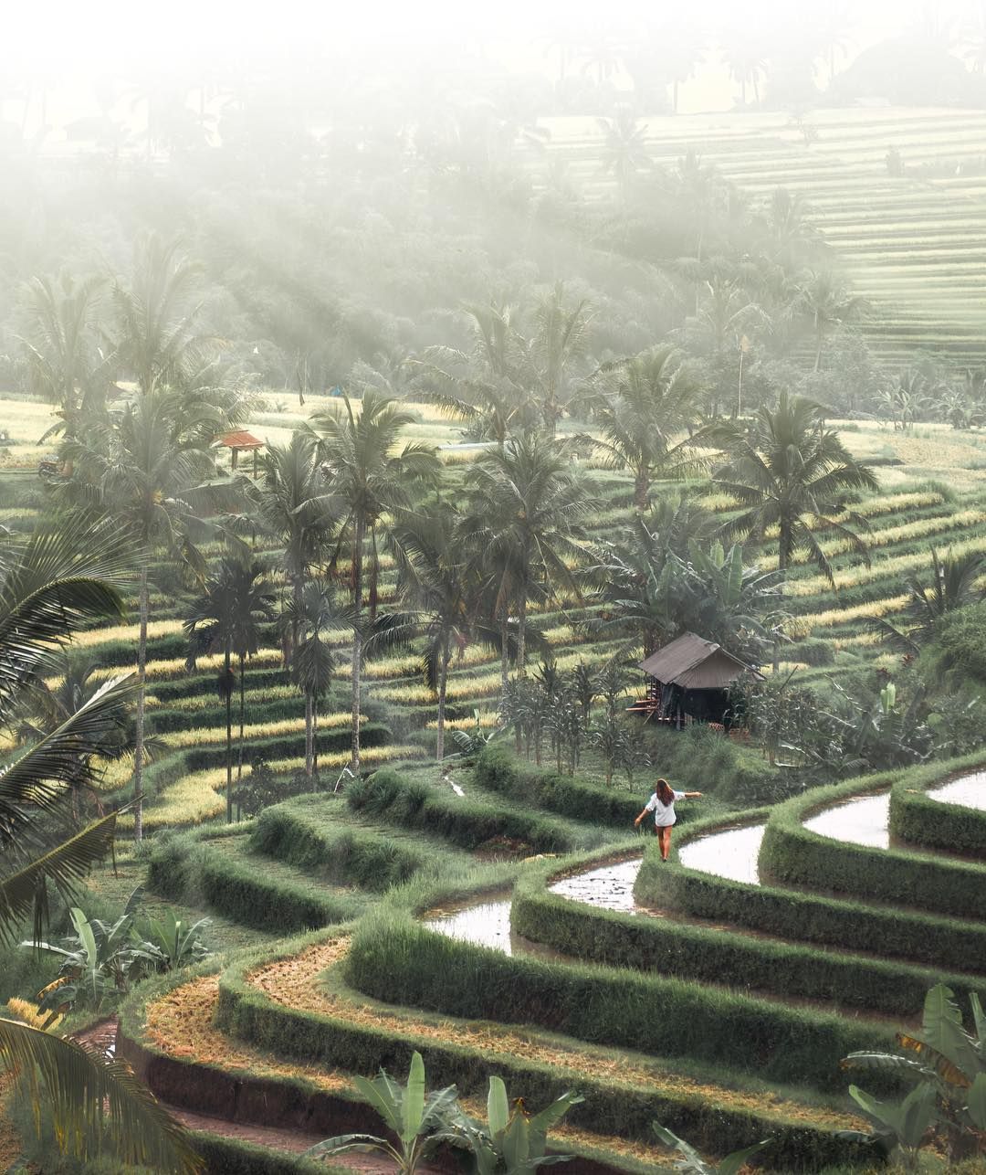 Вражаюча мандрівка Азією у фото, від яких перехоплює подих