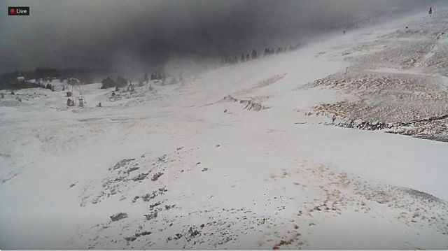 Карпати засипало снігом - фото 284387