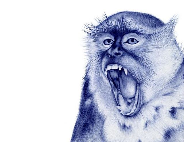 Неймовірно реалістичні малюнки ручкою - фото 281702