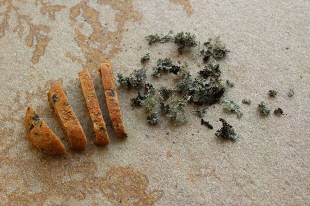 Як би виглядало меню для тих, хто пережив апокаліпсис - фото 284003