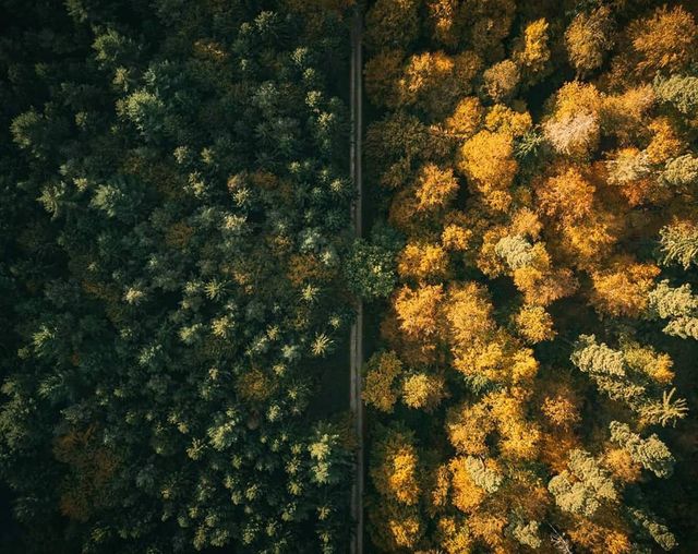 Наслідки людських дій з висоти пташиного польоту - фото 280645