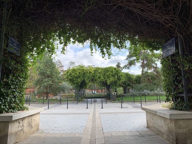 iPhone Xs Max не вдалося стати 'королем фото' - фото 280028