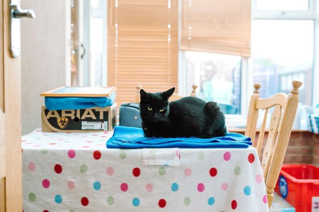 Яким є світ без окулярів та з ними - фото 285142