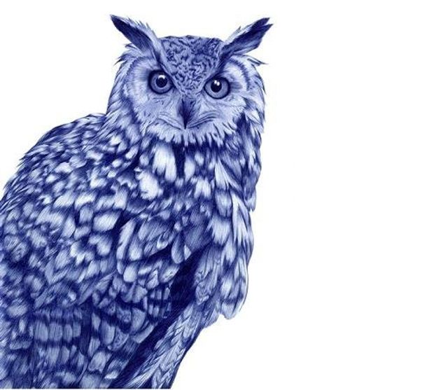 Неймовірно реалістичні малюнки ручкою - фото 281694