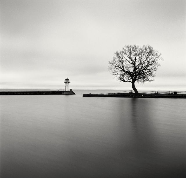 Проект 'Тихі моменти', який змушує затримати погляд - фото 285173