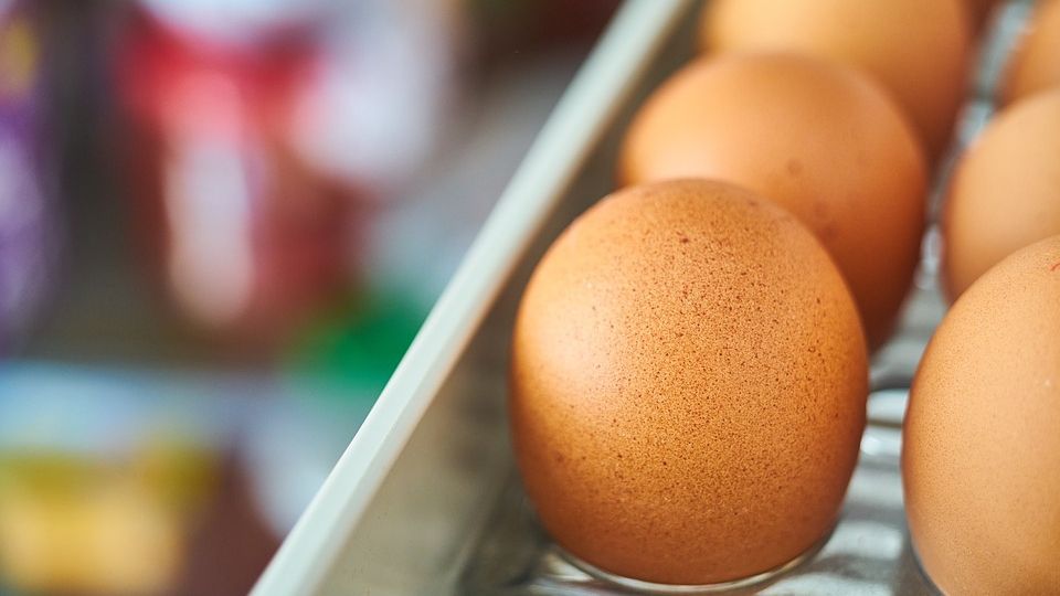 Зберігайте яйця правильно! - фото 1