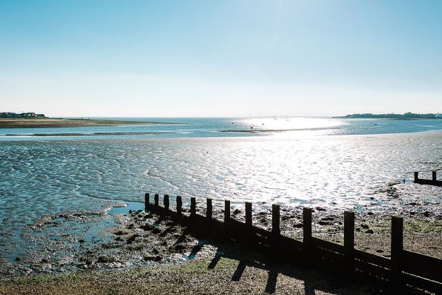 Яким є світ без окулярів та з ними - фото 285130