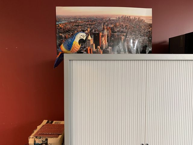 iPhone Xs Max не вдалося стати 'королем фото' - фото 280025