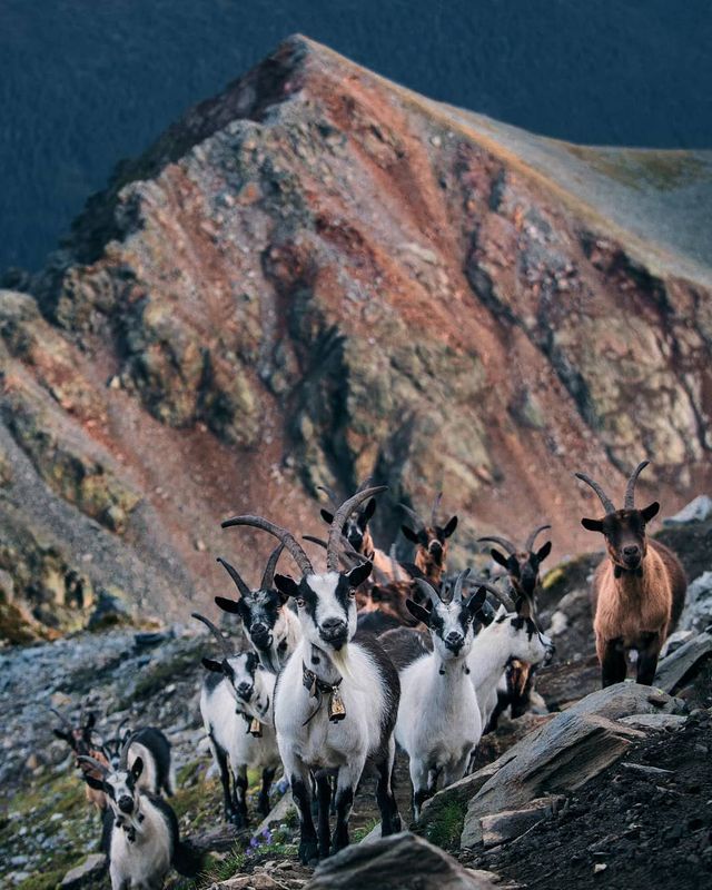 Пейзажі, від яких перехоплює дух - фото 284252