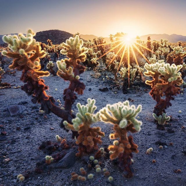Пейзажі, від яких перехоплює дух - фото 284253