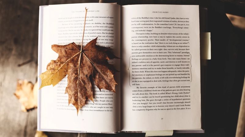 5 захопливих книг, які розвіють осінню хандру