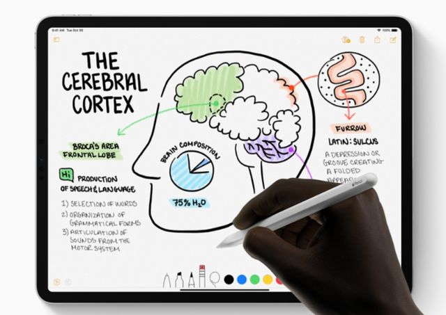  Apple Pencil- фото 285938