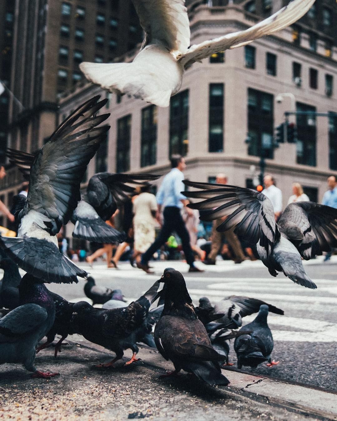 Вуличні моменти від Дейва Кругмана - фото 1