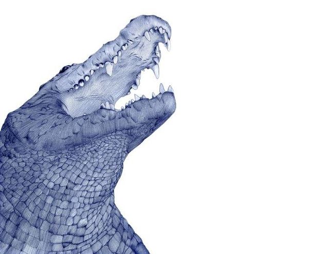 Неймовірно реалістичні малюнки ручкою - фото 281701