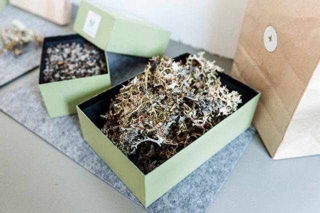 Як би виглядало меню для тих, хто пережив апокаліпсис - фото 284001